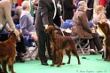 Crufts2011 171